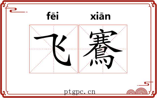 飞鶱