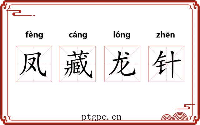凤藏龙针 凤藏龙针