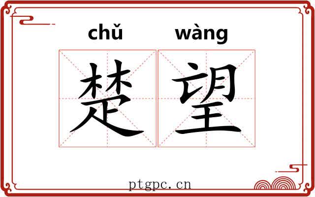 楚望
