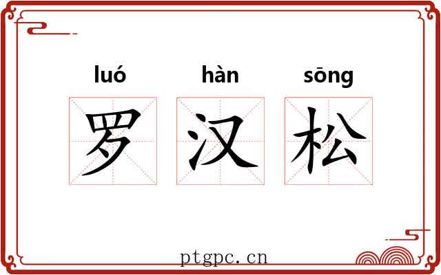 罗汉松