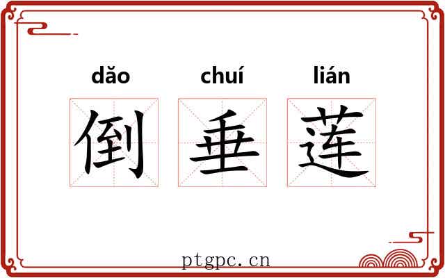 倒垂莲