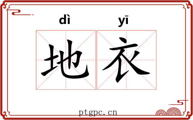 地衣 地衣