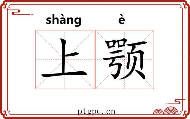 上颚