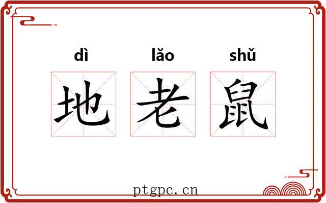 地老鼠 地老鼠