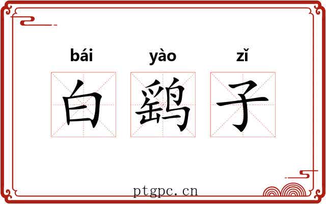 白鹞子