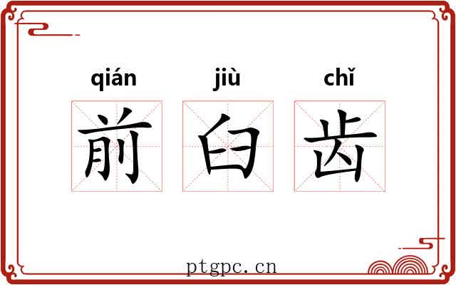 前臼齿