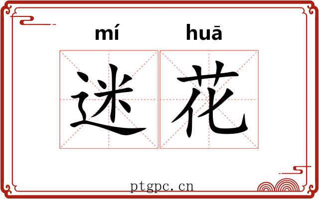 迷花