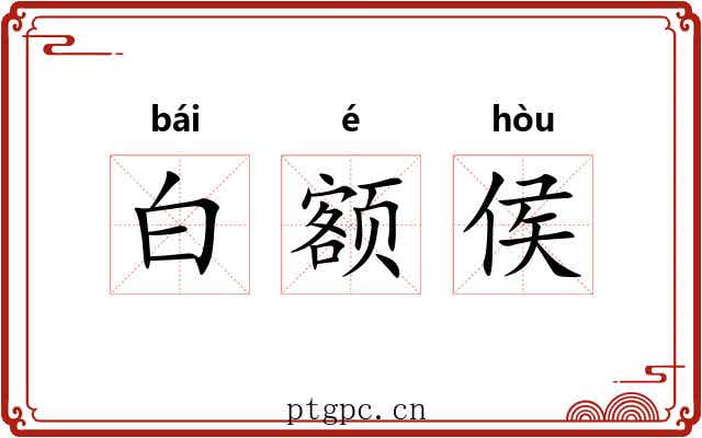 白额侯