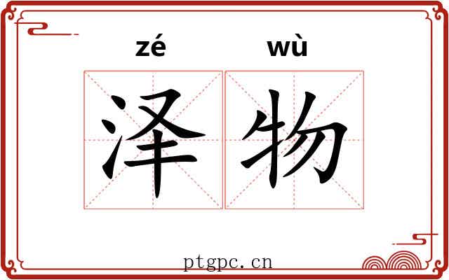 泽物