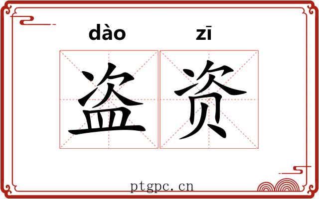 盗资