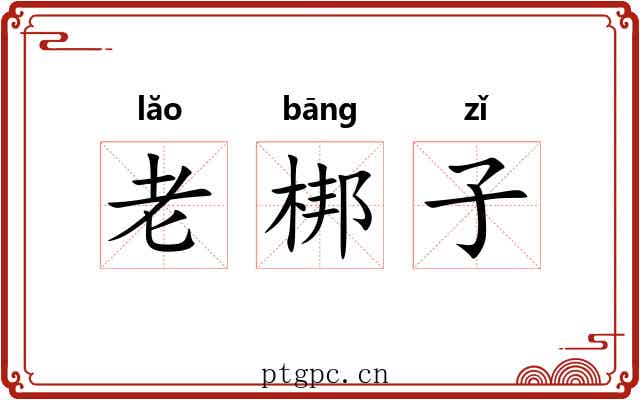 老梆子