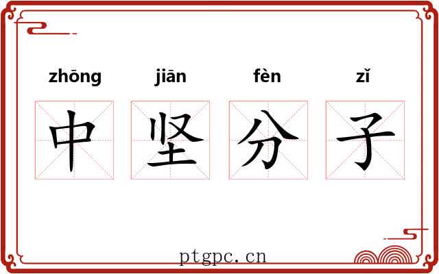 中坚分子 中坚分子