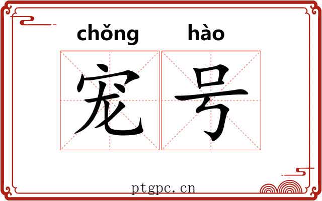 宠号 宠号
