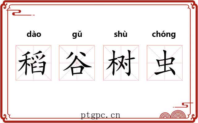 稻谷树虫 稻谷树虫