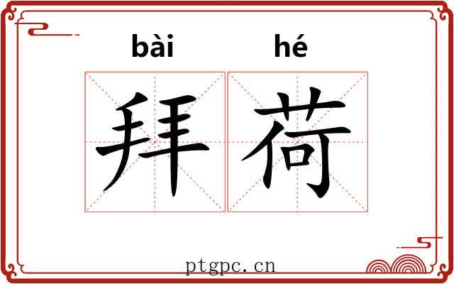 拜荷