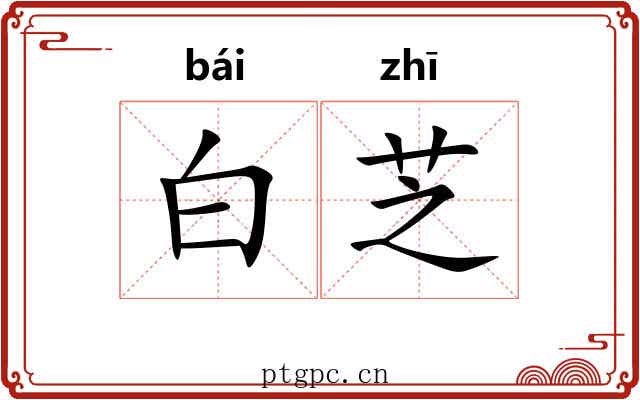 白芝 白芝