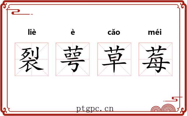 裂萼草莓