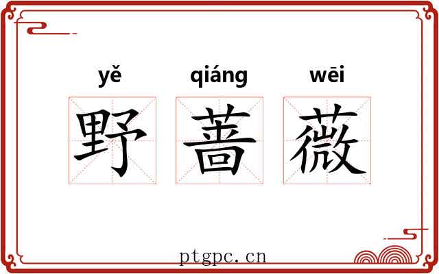 野蔷薇