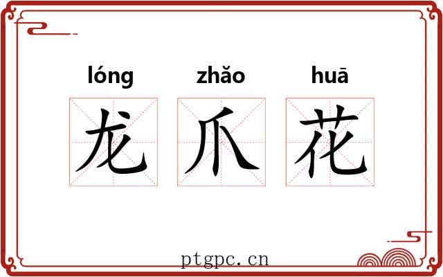 龙爪花