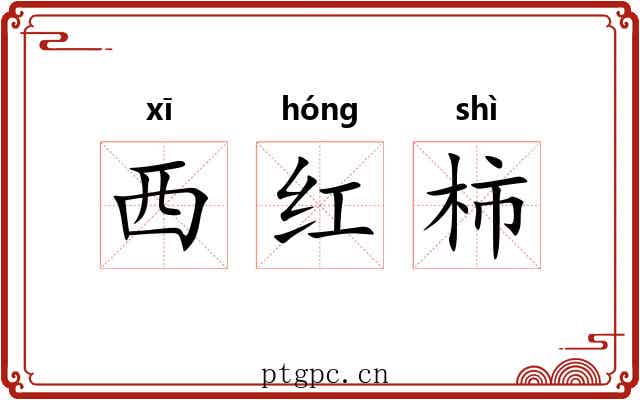 西红柿
