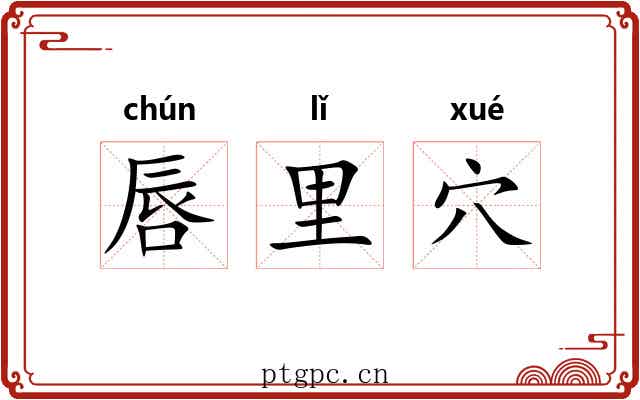 唇里穴 唇里穴