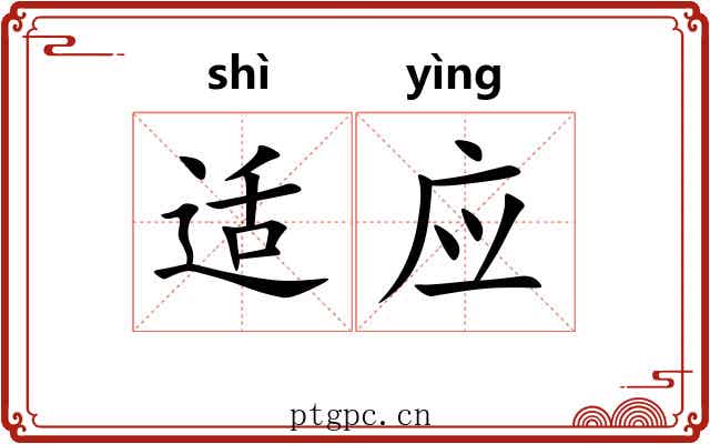 适应 适应