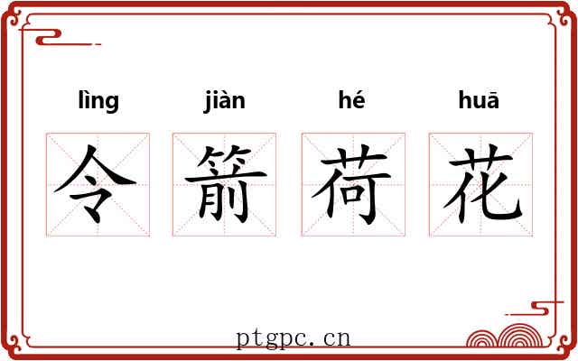 令箭荷花