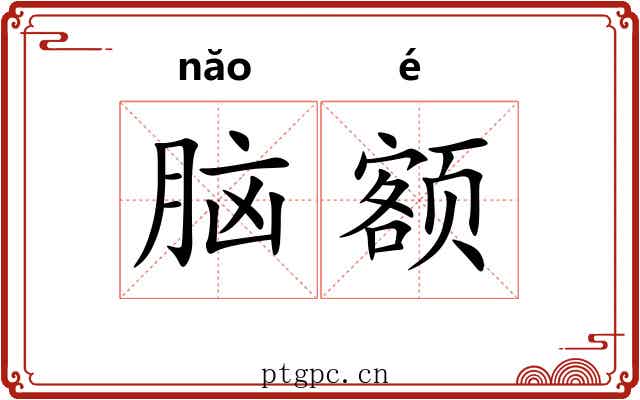 脑额