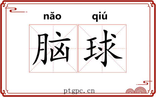 脑球