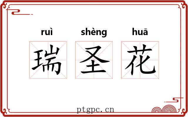 瑞圣花