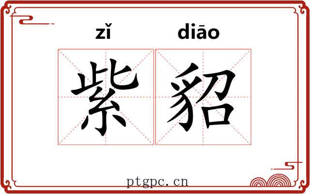 紫貂