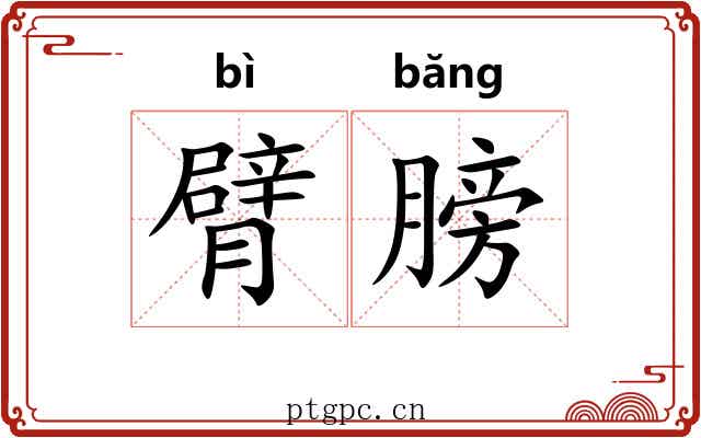 臂膀