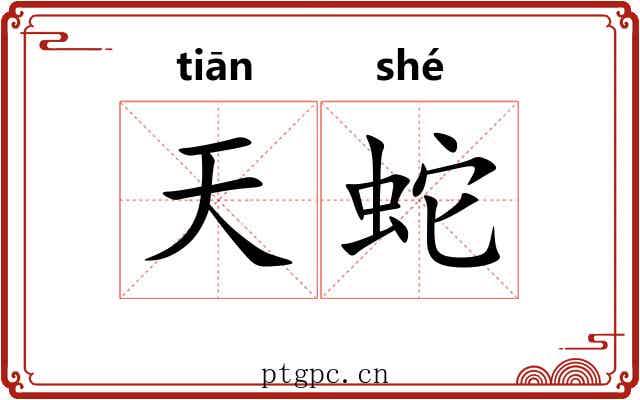 天蛇