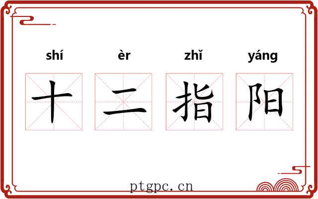十二指阳
