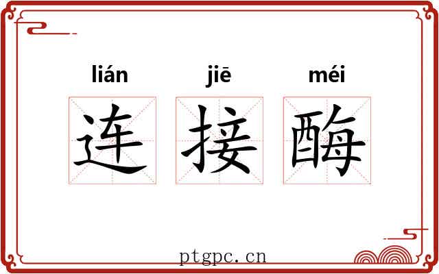 连接酶 连接酶