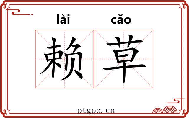 赖草 赖草