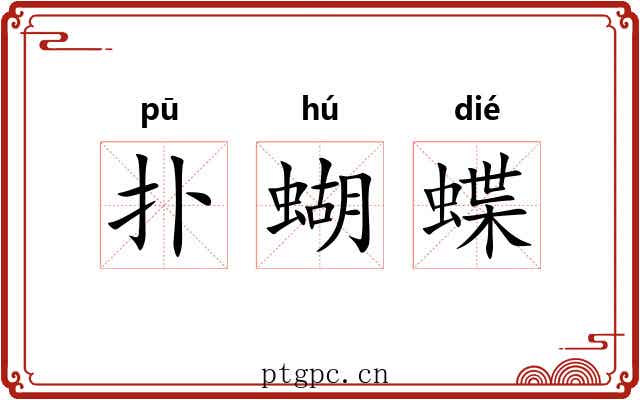 扑蝴蝶