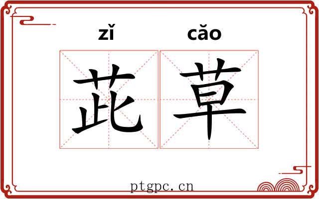 茈草