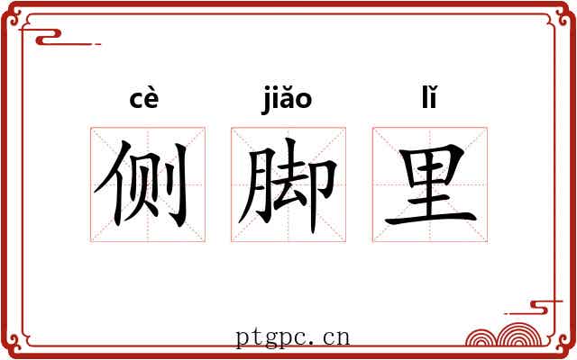 侧脚里