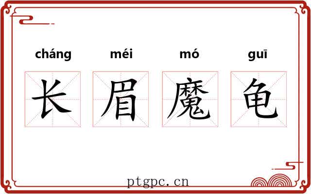 长眉魔龟 长眉魔龟