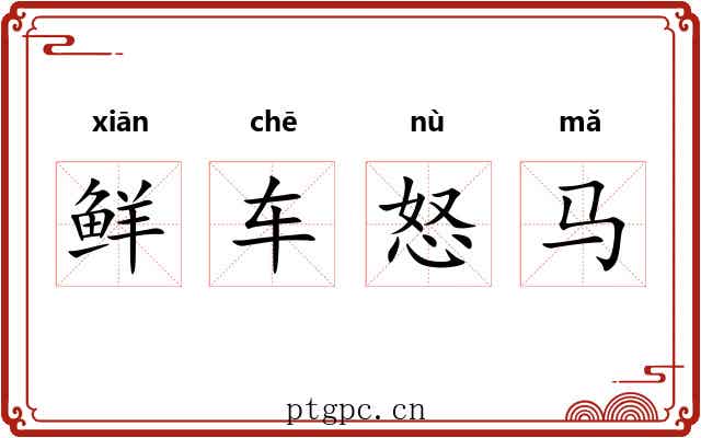 鲜车怒马