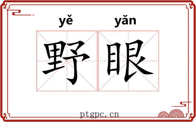 野眼