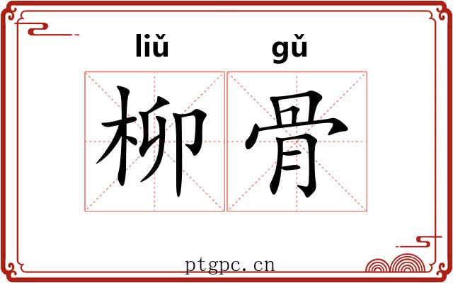 柳骨 柳骨