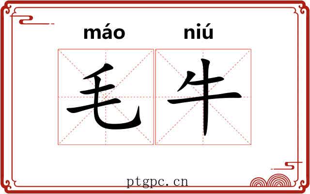 毛牛