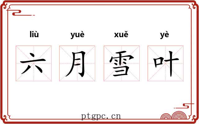 六月雪叶 六月雪叶