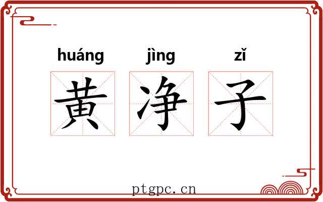 黄净子 黄净子