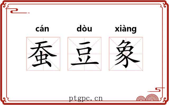 蚕豆象