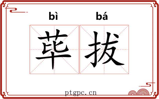 荜拔