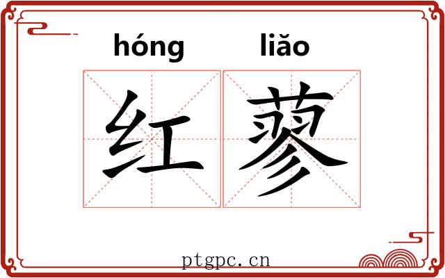 红蓼