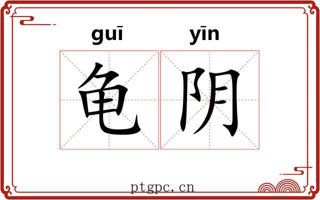 龟阴